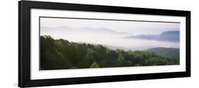 Fog over Valley, Great Smoky Mountains National Park, Tennessee, USA-null-Framed Photographic Print