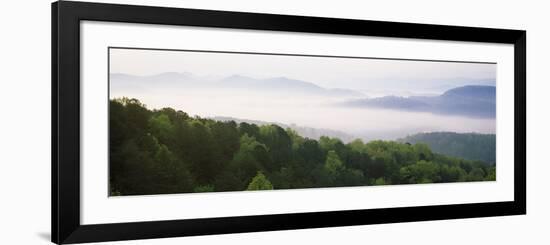 Fog over Valley, Great Smoky Mountains National Park, Tennessee, USA-null-Framed Photographic Print