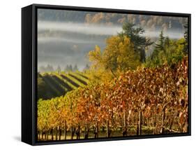 Fog Pools in a Finger of the Willamette Valley, Oregon, USA-Janis Miglavs-Framed Stretched Canvas