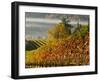 Fog Pools in a Finger of the Willamette Valley, Oregon, USA-Janis Miglavs-Framed Photographic Print