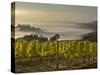 Fog Pools in Willamette Valley, Dundee, Oregon, USA-Janis Miglavs-Stretched Canvas