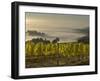 Fog Pools in Willamette Valley, Dundee, Oregon, USA-Janis Miglavs-Framed Photographic Print