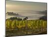 Fog Pools in Willamette Valley, Dundee, Oregon, USA-Janis Miglavs-Mounted Photographic Print