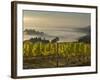 Fog Pools in Willamette Valley, Dundee, Oregon, USA-Janis Miglavs-Framed Photographic Print