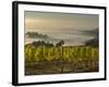 Fog Pools in Willamette Valley, Dundee, Oregon, USA-Janis Miglavs-Framed Photographic Print