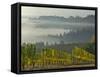 Fog Pools in Willamette Valley, Dundee, Oregon, USA-Janis Miglavs-Framed Stretched Canvas