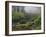 Fog, Portland Japanese Garden, Portland, USA, Oregon-Michel Hersen-Framed Premium Photographic Print