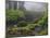 Fog, Portland Japanese Garden, Portland, USA, Oregon-Michel Hersen-Mounted Premium Photographic Print
