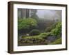 Fog, Portland Japanese Garden, Portland, USA, Oregon-Michel Hersen-Framed Photographic Print