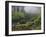 Fog, Portland Japanese Garden, Portland, USA, Oregon-Michel Hersen-Framed Photographic Print