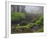 Fog, Portland Japanese Garden, Portland, USA, Oregon-Michel Hersen-Framed Photographic Print