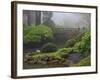 Fog, Portland Japanese Garden, Portland, USA, Oregon-Michel Hersen-Framed Photographic Print