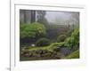 Fog, Portland Japanese Garden, Portland, USA, Oregon-Michel Hersen-Framed Photographic Print