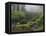 Fog, Portland Japanese Garden, Portland, USA, Oregon-Michel Hersen-Framed Stretched Canvas