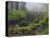 Fog, Portland Japanese Garden, Portland, USA, Oregon-Michel Hersen-Stretched Canvas