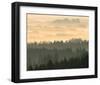 Fog Raising From Forest Dusk-null-Framed Art Print