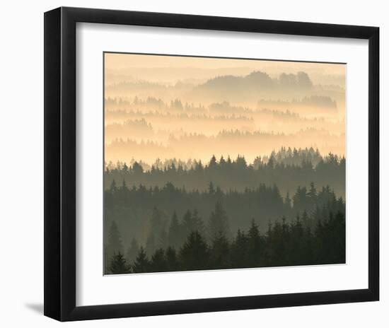 Fog Raising From Forest Dusk-null-Framed Art Print