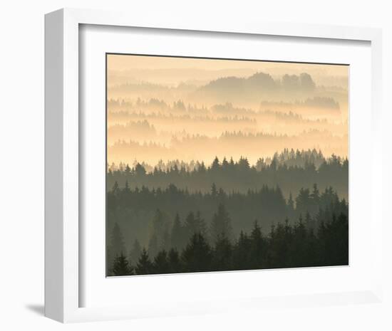 Fog Raising From Forest Dusk-null-Framed Art Print