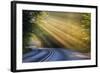 Fog Rays over Pierre Stocking Drive in Sleeping Bear National Lakeshore Near Empire, Michigan, Usa-Chuck Haney-Framed Photographic Print