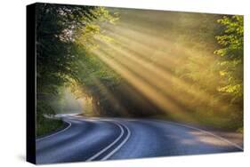 Fog Rays over Pierre Stocking Drive in Sleeping Bear National Lakeshore Near Empire, Michigan, Usa-Chuck Haney-Stretched Canvas