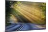 Fog Rays over Pierre Stocking Drive in Sleeping Bear National Lakeshore Near Empire, Michigan, Usa-Chuck Haney-Mounted Photographic Print