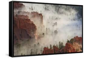 Fog, Rocks and Trees, Bryce Canyon National Park, Utah, United States of America, North America-Eleanor Scriven-Framed Stretched Canvas