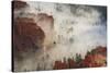 Fog, Rocks and Trees, Bryce Canyon National Park, Utah, United States of America, North America-Eleanor Scriven-Stretched Canvas