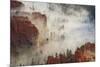 Fog, Rocks and Trees, Bryce Canyon National Park, Utah, United States of America, North America-Eleanor Scriven-Mounted Photographic Print