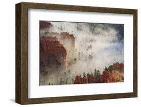 Fog, Rocks and Trees, Bryce Canyon National Park, Utah, United States of America, North America-Eleanor Scriven-Framed Photographic Print