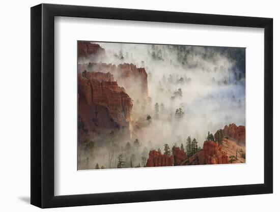 Fog, Rocks and Trees, Bryce Canyon National Park, Utah, United States of America, North America-Eleanor Scriven-Framed Photographic Print