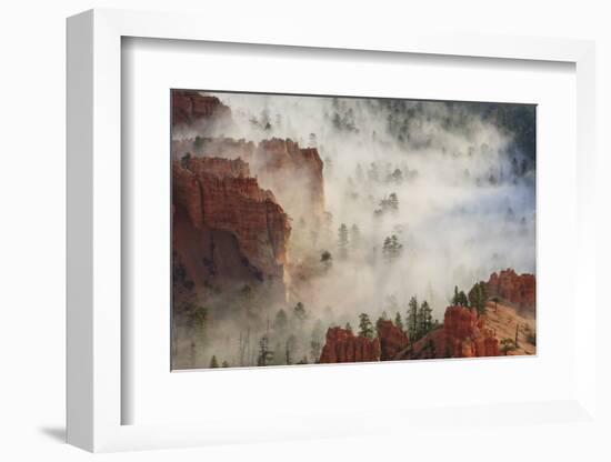 Fog, Rocks and Trees, Bryce Canyon National Park, Utah, United States of America, North America-Eleanor Scriven-Framed Photographic Print