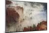 Fog, Rocks and Trees, Bryce Canyon National Park, Utah, United States of America, North America-Eleanor Scriven-Mounted Photographic Print