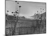 Fog Rolling in over the Santa Lucia Mountains-Nina Leen-Mounted Photographic Print