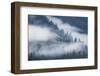 Fog Rolls Through Forest in Misty Fjords National Monument-Paul Souders-Framed Photographic Print