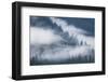 Fog Rolls Through Forest in Misty Fjords National Monument-Paul Souders-Framed Photographic Print