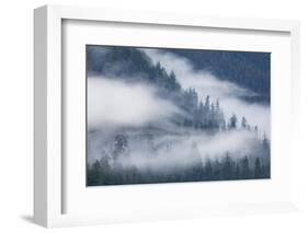 Fog Rolls Through Forest in Misty Fjords National Monument-Paul Souders-Framed Photographic Print