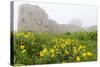 Fog Shrouds Hammershus Castle on the Most Northerly Tip of Bornholm, Denmark, Scandinavia, Europe-Michael Nolan-Stretched Canvas