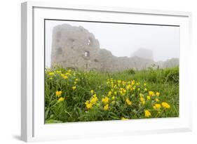 Fog Shrouds Hammershus Castle on the Most Northerly Tip of Bornholm, Denmark, Scandinavia, Europe-Michael Nolan-Framed Photographic Print