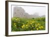 Fog Shrouds Hammershus Castle on the Most Northerly Tip of Bornholm, Denmark, Scandinavia, Europe-Michael Nolan-Framed Photographic Print