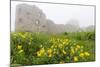 Fog Shrouds Hammershus Castle on the Most Northerly Tip of Bornholm, Denmark, Scandinavia, Europe-Michael Nolan-Mounted Photographic Print