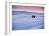 Fog Sunrise and Tower - San Francisco, California-Vincent James-Framed Photographic Print