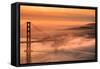 Fog Sweep at Golden Gate Bridge at Sunrise San Francisco Morning-Vincent James-Framed Stretched Canvas