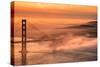 Fog Sweep at Golden Gate Bridge at Sunrise San Francisco Morning-Vincent James-Stretched Canvas