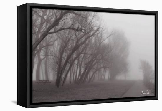 Fog Trail-5fishcreative-Framed Stretched Canvas