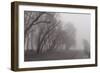 Fog Trail-5fishcreative-Framed Giclee Print