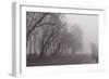 Fog Trail-5fishcreative-Framed Giclee Print