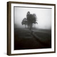 Fog Tree Study 1-Jamie Cook-Framed Giclee Print