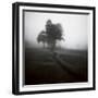 Fog Tree Study 1-Jamie Cook-Framed Giclee Print