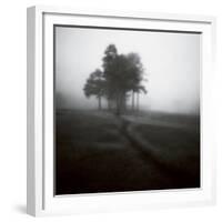 Fog Tree Study 1-Jamie Cook-Framed Giclee Print