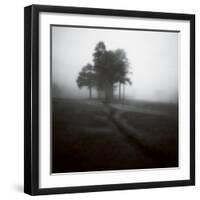 Fog Tree Study 1-Jamie Cook-Framed Giclee Print